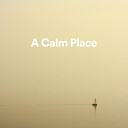 Calm Music Calm Music for Studying - Happy Ambience