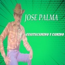 Jose Palma - Mi caballo compa ero wav