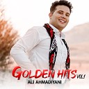 Ali Ahmadiyani - Khanom Gol Froosh