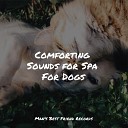 Music for Pets Library Music for Leaving Dogs Home Alone Music for Dog s… - Healing