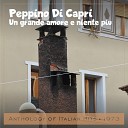 Peppino Di Capri - Un Grande amore e niente piu