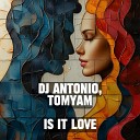 Dj Antonio TomYam - Is It Love