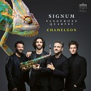 SIGNUM saxophone quartet - IId Var 3 la Schumann Grave