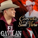 Ricardo Cerda EL Gavilan - Corrido de Saul Viera