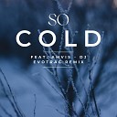DJ Evotrac feat Amvis - So Cold Remix