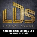 Los Del Sabor LDS - Son del Ocoxuchitl Los Diablos Alegr a