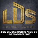 Los Del Sabor LDS - Son del Ocoxuchitl Son de los Tlacololeros