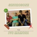 Sincrosone feat Ivo Mamona - Cantando as Gatinhas