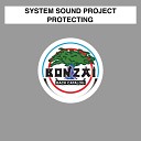 System Sound Project - Protecting