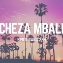 Spoti Gang 254 - Cheza Mbali