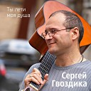 Сергей Гвоздика - Нашеи жизни очень часто так…