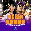 MC Wanessynha VM MC Biano do Imp ra Dj Tica feat SPACE… - Pix Bem Gordinho