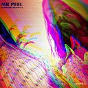 Mr Peel - Overdub Live Closing