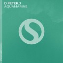D Peter J - Aquamarine Aqua Mix