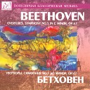 Academic Symphony Orchestra Of Novosibirsk Philharmony Arnold… - Leonora Overture No 2 in C Major Op 72a