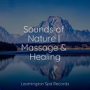 Deep Sleep Brown Noise Yoga Soul Organic Nature… - Healing Sounds