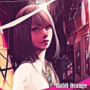 Dj Rodriguez - Habit Orange