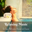 Bath Sonata - The Perfect Moment