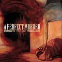 A Perfect Murder - Snake Eyes Album Version
