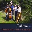 Trillium - St James Infirmary Blues