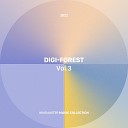 Digi Forest - Turn Away