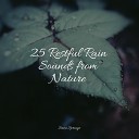 Regen zum Schlafen Relaxing Spa Music Wave Sound… - All Night Rain