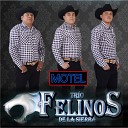 Trio Felinos de la Sierra - Motel