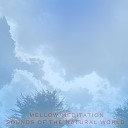 Mellow Meditation - New Waves Ancient Seas