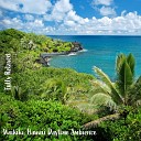 Steve Brassel - Waikiki Hawaii Daytime Ambience Pt 15