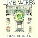 Steve Horelick - Concentric Windings