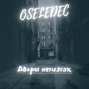 OSELEDEC - Дворы пятиэтах