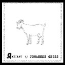 Johannes Geiss - Es Ist Vorbei Pt 2 Remix Album Edit