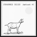 Johannes Geiss - Ambient 2 11