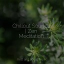 Entspannungsmusik Lullabies for Deep Meditation… - Cloud Soft Nine