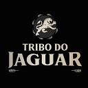 Tribo do Jaguar - Anjos
