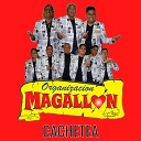 Organizacion Magallon - Cachetea