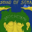 Sound of Soma - Цветная