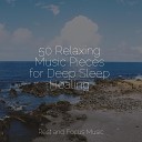 Sleep Sounds of Nature Massage Soothing White Noise for Infant Sleeping and… - Totally Calming