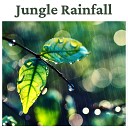 Relaxing Sounds of Rain Music Club - Nature Sounds for Deep Relaxation