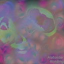 Alabaster - I Am What I Hear