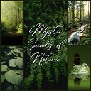 Mystic Relaxation Side - The Enchanted Forest