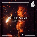 Melih Y ld r m - In The Night