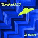 Tamahak 333 - Synchro