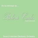 Sound Unlimited Electronic Orchestra - El Dia Que Me Quieras Instrumental