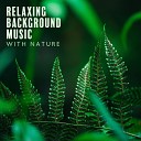 Total Relax Music Ambient - Find Your Calm New Age Music