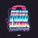 Lil Jon NyNy - Sneaky Link