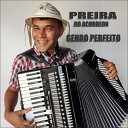 Pereira do acordeon - Genro Perfeito