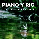 The Healing Project Schola Camerata - Piano y R o de Relajaci n