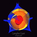 Campfire Giant - Tracing Parallel Orbits