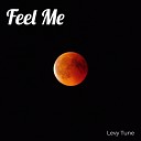 Levy Tune feat YZDCE Kingdom Copyright Control Ikeyz Bonfaya… - Feel Me
